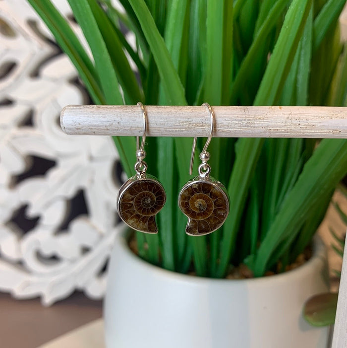 Ammonite sterling silver Bezel Dangle Earrings 1/2" diameter