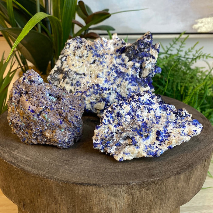 Azurite Mixed Minerals- Sierra Rica Chihuahua Mexico