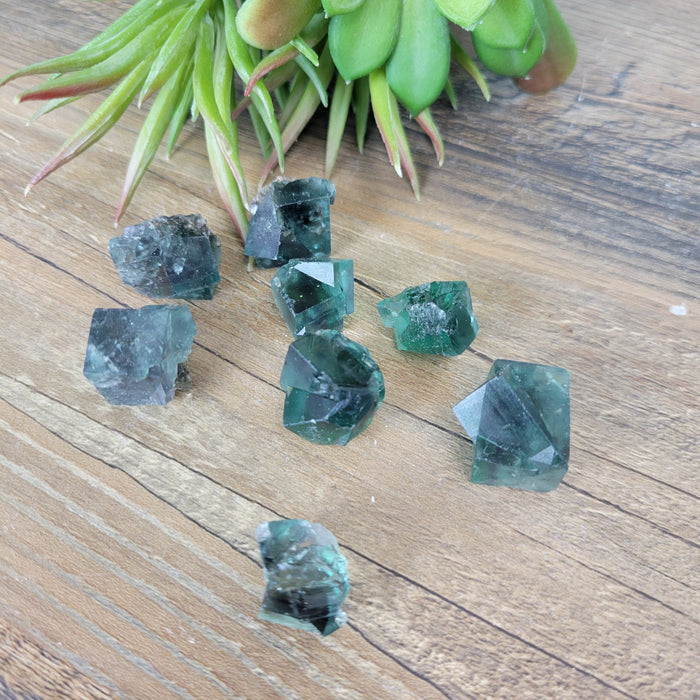 Lady Annabella Rough Fluorite 10mm x 10mm