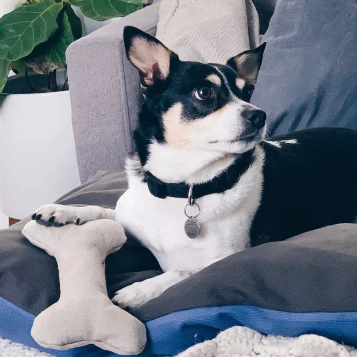 Plastic-Free Dog Bone- Small, Medium, or Large