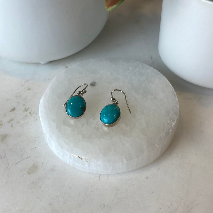 Turquoise Polished sterling silver Dangle Earrings