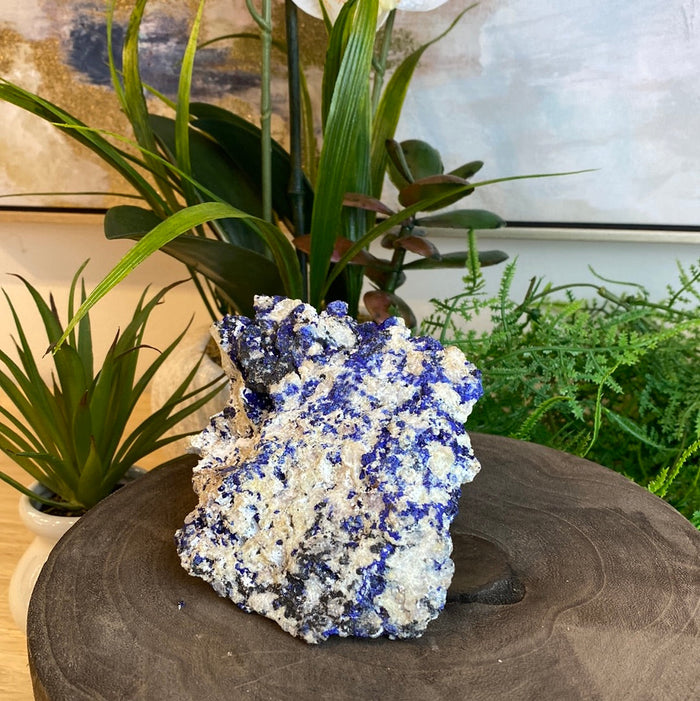 Azurite Mixed Minerals- Sierra Rica Chihuahua Mexico