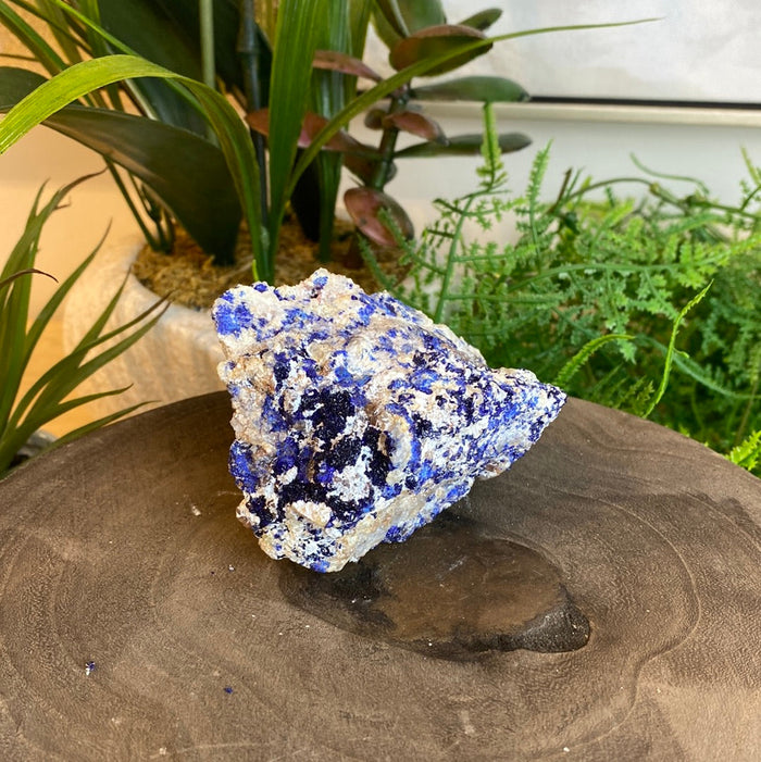 Azurite Mixed Minerals- Sierra Rica Chihuahua Mexico
