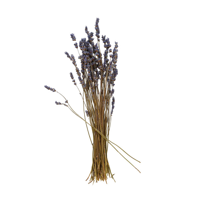Dried Lavender Bunch — overall view
