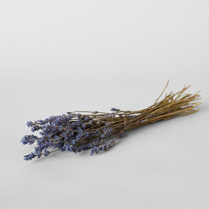 Dried Lavender Bunch — overall view
