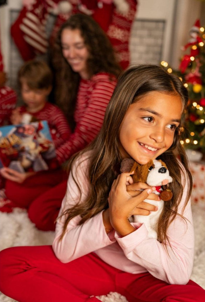 Elf Pets: A Saint Bernard Tradition box set
