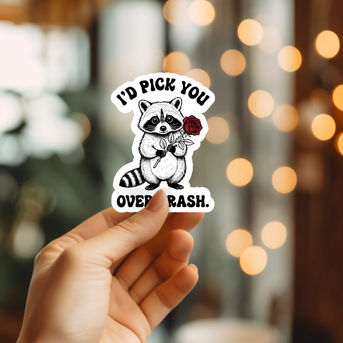Funny I'd Pick You Over Trash Vinyl Sticker