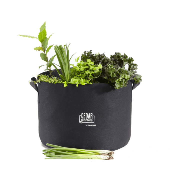 Cedar Planters Grow Bag (10 Gallon)