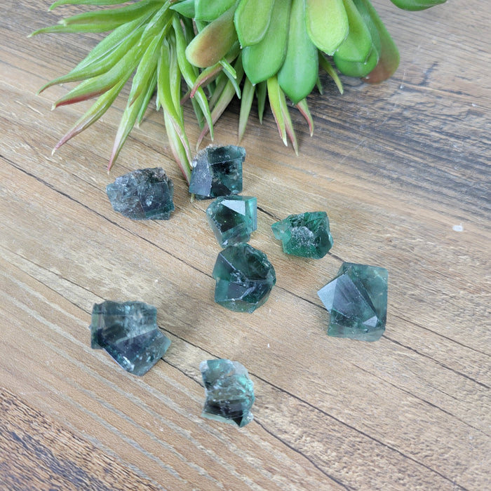 Lady Annabella Rough Fluorite 10mm x 10mm