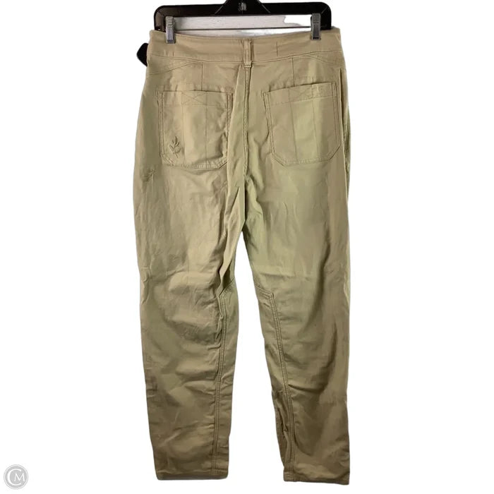 Pants Other By Pilcro In Tan, Size: 6 (28)