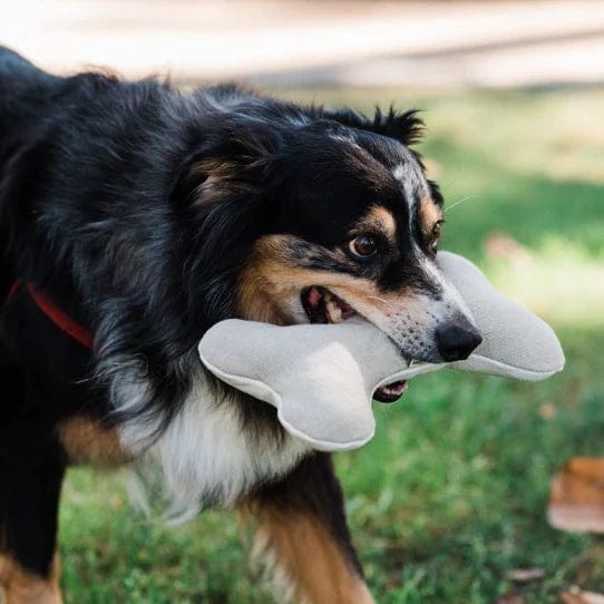 Plastic-Free Dog Bone- Small, Medium, or Large
