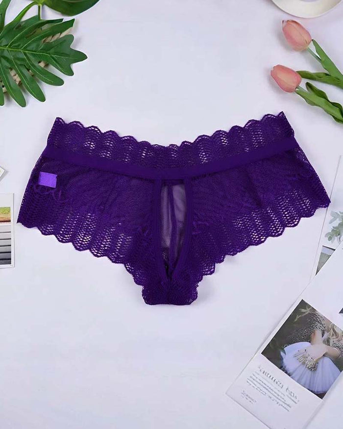 Plus Size Floral Lace Crisscross Panties Sheer Scalloped Briefs