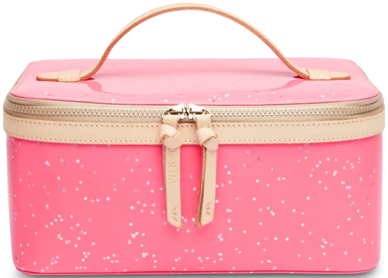 SHINE TRAIN CASE