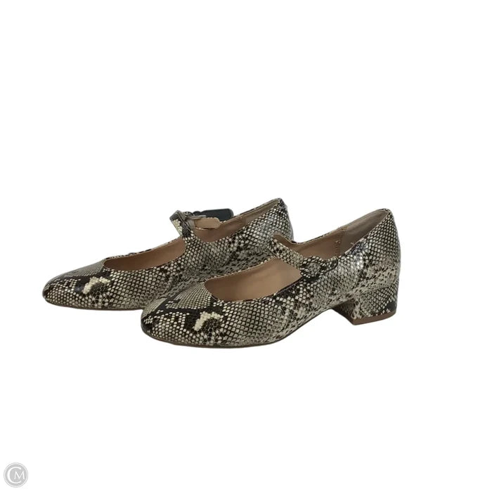 Shoes Heels Block By Steve Madden In Snakeskin Print, Size: 6