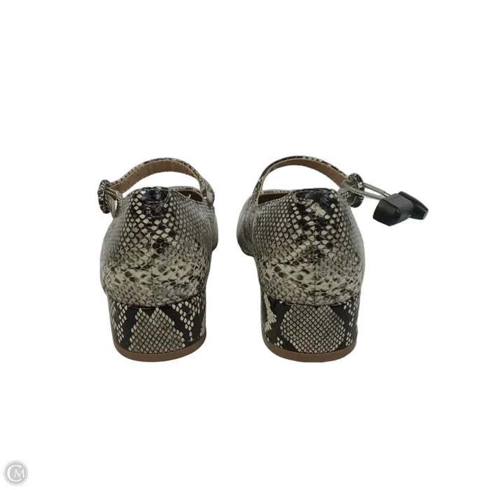 Shoes Heels Block By Steve Madden In Snakeskin Print, Size: 6