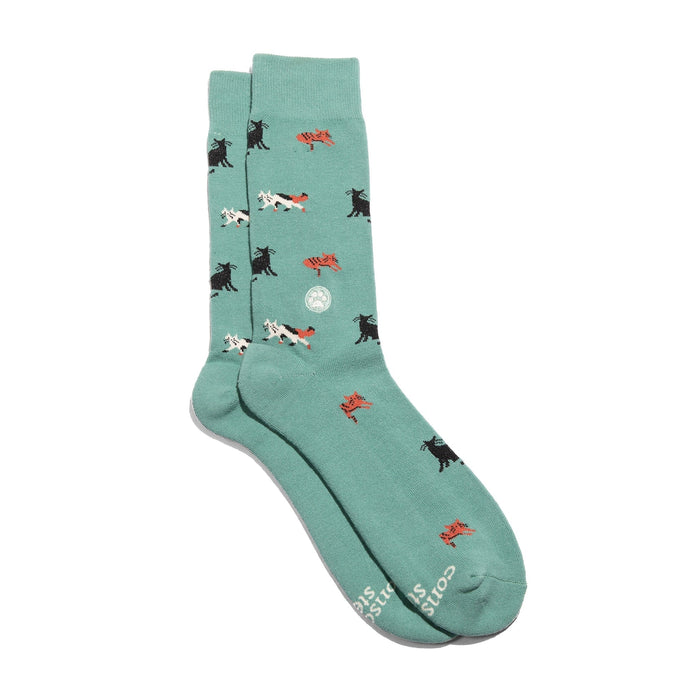 Conscious Step Socks that Save Cats