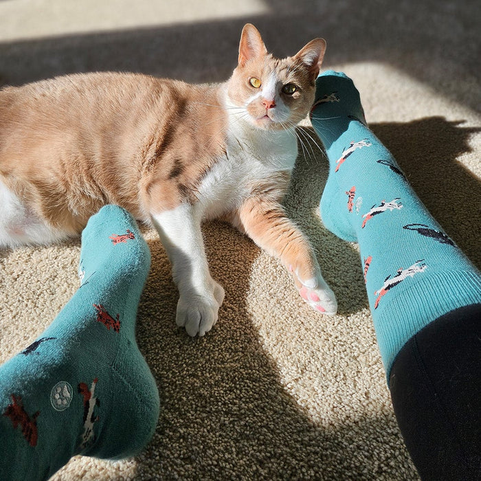 Conscious Step Socks that Save Cats